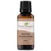 Plant Therapy Roman Chamomile Essential Oil 100% Pure Undiluted Natural Aromatherapy Therapeutic Grade 30 mL (1 oz)
