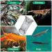 Nswdhy Fishing Bait Trap Set - 2 Pack Crab, Minnow, Crawfish, Lobster, Shrimp Traps - Collapsible Cast Net, Portable Folded Fishing Accessories - Buy Online on GoSupps.com