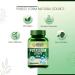 Potassium Citrate 800mg Supplement for Nerve, Muscle, Joint, and Bone Health - 120 Veg Tablets | Men & Women - Buy Online on GoSupps.com