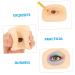 Balacoo 1 Set Makeup Practice Skin Eyeshadow Simulated Eye Makeup Skin Makeup Skin Mold Silicone Board Blank - Buy Online on GoSupps.com