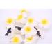 12PCS Hawaiian Plumeria Foam Flower Hair Clips - Yellow - Perfect for Bridal Wedding, Beach Holiday - Bohemian Style Hair Accessories for Women and Girls - Buy Online on GoSupps.com