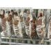 Salumi Chicago Traditional Nduja - Spicy Calabrian Chili Pepper Salami (7 oz) - Buy Online on GoSupps.com