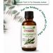 OTTO AURA Pure Eucalyptus Essential Oil 4 Fl Oz (118ml) Premium Grade with Glass Dropper - Buy Online on GoSupps.com