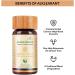 Kidney Health Support Tablets - Natural Vegan Supplement for Healthy Kidneys & Urinary Tract - 120 Tablets for Men & Women - Buy Online on GoSupps.com