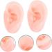 10 Pairs Artificial Silicone Ear Models for Piercing Practice - Realistic Fake Ears for Body Art & Training - Buy Online on GoSupps.com