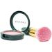 SHANY Paraben Free Powder Blush Classic - Buy Online on GoSupps.com