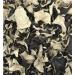OliveNation Woodear Mushrooms 16 oz.