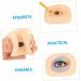 Beatifufu 1 Set Makeup Practice Skin Eyeshadow Fake Silicone Skin Blank Makeup Skin Tool Make up - Buy Online on GoSupps.com