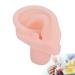 Realistic Left Human Ear Model - Silicone Ear for Students Doctors & Display | Ideal for Ear Exercises & Showcases - Buy Online on GoSupps.com