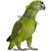 Hemoblo Collar for Birds - Safety Neck Cover for Parrots | Practical Rodid Cone Protection - Ideal for Pets | International Shipping Available - Buy Online on GoSupps.com