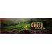 Levista Pochette de caf instantan de qualit sup rieure de 200 g Arabica 200 g (Lot de 1) - Buy Online on GoSupps.com