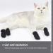Hemoblo Cat Claw Covers - Breathable Mesh Scratch Protection 4 Pcs - Black Paw Caps for Fur Care & Bathing (10x9x0.5cm) - Buy Online on GoSupps.com