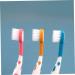Beavorty 12-Pack Biodegradable Baby Toothbrushes for Kids - Travel-Friendly Handheld Toothbrush Set - Buy Online on GoSupps.com