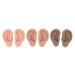 Artificial Ear Model Reusable 3 Colors Soft 3 Pairs Human Ear Model for Home