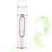 Beavorty Facial Mist Nano Mist Sprayer Personal Moisturizing Humidifier Face Sprayer Power Bank Handheld Mini Face Humidifier - Buy Online on GoSupps.com