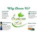 NTB Chirayta Powder 100 Gms Chiretta Bitter Stick Powder Swertia Chirata Powder - Buy Online on GoSupps.com