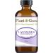 Lavender Essential Oil 4 oz (Fine French) 100% Pure Natural Undiluted Therapeutic Grade for Skin Body and Hair Growth and Aromatherapy Diffuser. - Buy Online on GoSupps.com