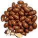 Sunburst Whole Chocolate Coated Brazil Nuts Non GMO 500g - Buy Online on GoSupps.com