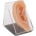 Simulated Ear Model for Earring Display - Skin Friendly, Professional & Soft | RTLR Display - Buy Online on GoSupps.com