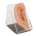 Silicone Ear Model Acupuncture Practice Tool Soft Silicone With Display Stand Ear Acupuncture Model For Piercing Display