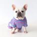BT BEAR Dog Clothing | Classic Striped Pajamas for Bulldogs & Small Dogs | Soft Cotton One-Piece Overall (Size M Blue/Pink) - Buy Online on GoSupps.com