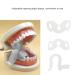Buy Soft Silicone Dental Mouthwear & Bite Blocks | Intraoral Cheek Retractors for Oral Inspection - International Shipping Available - Buy Online on GoSupps.com
