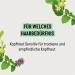 Buy Guhl Scalp Sensitive Mild Conditioner 200ml - Ideal for Sensitive & Normal Scalps - International Shipping Available - Buy Online on GoSupps.com