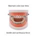 1040 O-Rings | Clear Orthodontic Elastomeric Ligature Ties for Braces | Elastic Rubber Bands for Orthodontic Brackets - International Shipping - Buy Online on GoSupps.com