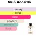 Monac - Born In Roma Collection - Niche Inspired Perfume - Eau de Parfum - 50 Ml 95%-99.9% similar Long Lasting 8-15 hours (Yellow Donna Inspired by Donna Born in Roma Yellow Dream(w)) Yellow Donna Inspired by Donna Born in Roma Yellow (w) - Buy Online on GoSupps.com