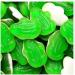 Haribo Frogs Gummi Candy 142 g - Buy Online on GoSupps.com