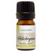 GreenHealth Helichrysum Essential Oil 5 ml 100% Pure & Natural Therapeutic Grade Amber Glass Bottle with Euro Dropper Helichrysum 0.17 Fl Oz (Pack of 1)