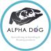 Alpha Dog Best Value Whelping Kit Puppies & Queening Kittens comes with whelping guide Pet birthing supplies (2222) - Buy Online on GoSupps.com
