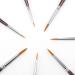 Transon 7pcs Detail Model Paint Brushes for Acrylic, Gouache, Oil, Tempera & Face Painting - Buy Online on GoSupps.com