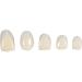 50pcs/Box Resin Temporary Crown for Front Teeth - False Teeth Material for Oral Care - Buy Online on GoSupps.com