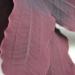 biOrb Easy Plant Sets Medium - Purple/Green | Vibrant Artificial Plants for Aquariums - Buy Online on GoSupps.com