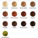100% vegetable coloring (2 x 50 g) - Les couleurs de Jeanne - Hair - Colorings - Vegetable colorings - Buy Online on GoSupps.com