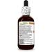 Bilberry (Vaccinium Myrtillus) Dry Berry Glycerite Made in Hawaii Organic Raw Materials All Natural Vegan Lab Tested Alcohol-Free Liquid Extract - 2 fl.oz 2 Fl Oz (Pack of 1) - Buy Online on GoSupps.com