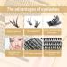 U&A ROYAL Eyelash Extension Kit - 280pcs Individual Lash Clusters 30D & 40D Curl - Complete At-Home Application Set with Bond Seal Tweezers & Remover - Buy Online on GoSupps.com