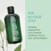 Tea Tree Special Shampoo for Oily Hair - 10.14 Fl Oz - Buy Online on GoSupps.com