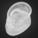 Silicone Ear Model for Display & Ear Impression Practice - Realistic Artificial Right Ear for Prosthetic Head - Buy Online on GoSupps.com