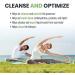 Herbal Pancreas Tea Cleanse with Juniper, Fenugreek, Gymnema - 20 Bags - Buy Online on GoSupps.com