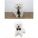 4 Pieces Pets Dog Cat Bowtie Pet Costume Adjustable Formal Necktie Collar for Cats Small Dogs Puppy Grooming Accessories (Black/red) - Buy Online on GoSupps.com