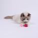 FUPUSUN 30pcs Soft Cat Toy Balls for Indoor Cats - Interactive and Quiet Pom Pom Toys for Kittens - 3CM Diameter - Buy Online on GoSupps.com