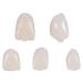 50pcs Temporary Dental Crowns - Realistic Porcelain Teeth for Front Molars | Oral Care & Restoration - Buy Online on GoSupps.com