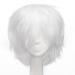 S-noilite Unisex Short Straight Cosplay Hair Wig Women Mens Male Fashion Anime Party Fancy Style Costume Synthetic Full Wigs White