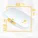 Beurer BY80 Digital Baby Scale - Infant & Pet Scale, Weighs up to 44 lbs, Holds Weight in Pounds, Ounces & Kilograms - Buy Online on GoSupps.com