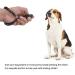 BOBOZHONG Dog Clicker 3 Piece Pet Training Clicker with Wrist Strap Effective Behavioral Training Tool for Dogs Cats Horses Red Green and Black - Buy Online on GoSupps.com