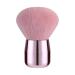 lmoikesz Makeup Brush Tool For Precise And Professional Makeup Application Makeup Brush Tools ABS Makeup Brush Set Blush Brush powder brush