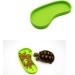 LSTCPGLAI 2 Pieces Shallow Reptile plate Reptile Food Water Bowl Used for Tortoise Corn Snake Crawl Pet Drinking and Eating(Green) - Buy Online on GoSupps.com