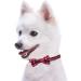 Buy Removable Fly Christmas Cat Collars - Cute Checked Pattern Adjustable and Durable for Cats & Small Dogs - 2 Pack - Buy Online on GoSupps.com